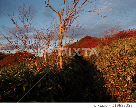 秋の妙高高原 遊歩道と紅葉 秋の妙高高原 遊歩道と紅葉 119652358