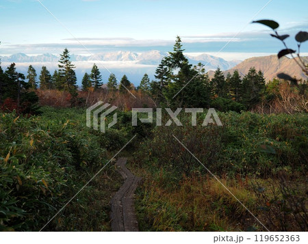 火打山登山道から後立山連峰を眺む 119652363