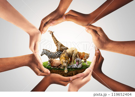 Wildlife Conservation Day. wildlife protection, multiracial human come to build hands in shape of circle to protect the environment. promote conservation wildlife. gray background. 119652404