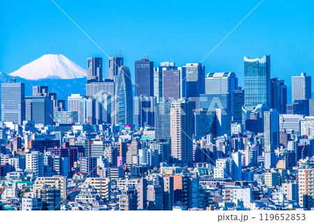 日本の東京都市景観 変貌する新宿や富士山。新宿副都心などを望む。東急歌舞伎町タワーの威容も＝10日 119652853