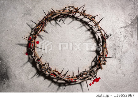 Crown of thorns 119652967