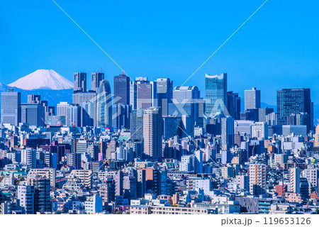 日本の東京都市景観 変貌する新宿や富士山。新宿副都心などを望む。東急歌舞伎町タワーの威容も＝10日 119653126