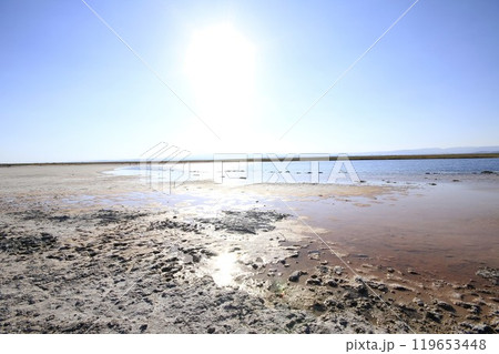 Laguna Cejar, Atacama, Chile 119653448