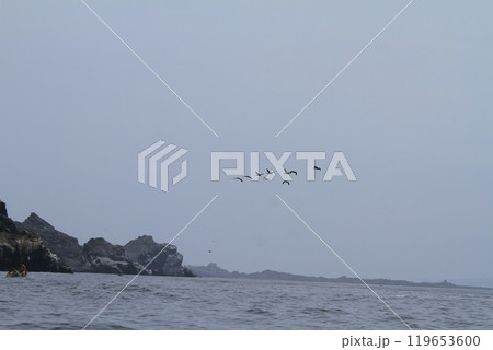 Isla Damas near La Serena Chile 119653600