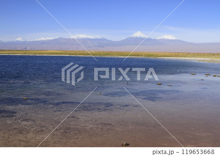 Laguna Cejar, Atacama, Chile Laguna Cejar, Atacama, Chile 119653668
