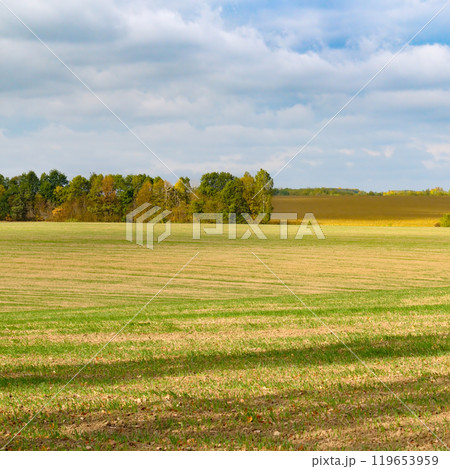 Harvested fields and meadows. rural autumn landscape. Harvested fields and meadows. rural autumn landscape. 119653959