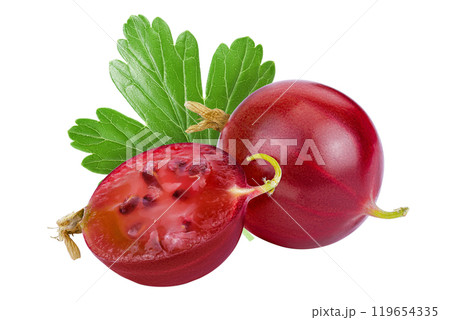 Red gooseberry isolated on white background with full depth of field. Red gooseberry isolated on white background with full depth of field. 119654335
