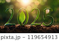 Numbers 2025 from green leaves background of nature. Eco-friendly Christmas banner for environmental protection. 119654913