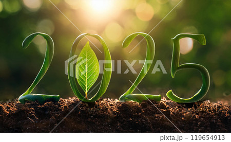 Numbers 2025 from green leaves background of nature. Eco-friendly Christmas banner for environmental protection. 119654913