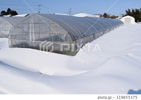 豪雪地方のビニールハウス 119655375