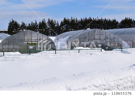 豪雪地方のビニールハウス 119655376
