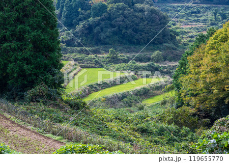 日本の岡山県久米郡美咲町の美しい大垪和西の棚田 日本の岡山県久米郡美咲町の美しい大垪和西の棚田 119655770