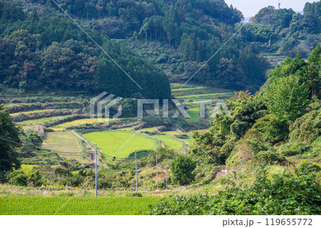 日本の岡山県久米郡美咲町の美しい大垪和西の棚田 日本の岡山県久米郡美咲町の美しい大垪和西の棚田 119655772