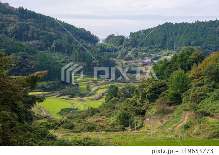 日本の岡山県久米郡美咲町の美しい大垪和西の棚田 日本の岡山県久米郡美咲町の美しい大垪和西の棚田 119655773