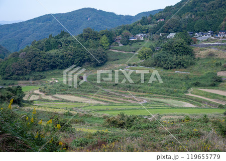 日本の岡山県久米郡美咲町の美しい大垪和西の棚田 日本の岡山県久米郡美咲町の美しい大垪和西の棚田 119655779
