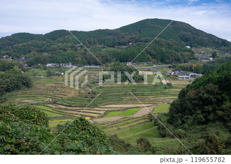 日本の岡山県久米郡美咲町の美しい大垪和西の棚田 日本の岡山県久米郡美咲町の美しい大垪和西の棚田 119655782