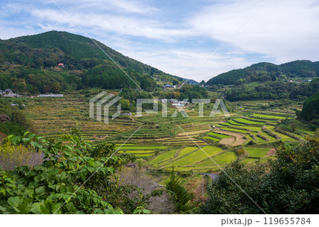 日本の岡山県久米郡美咲町の美しい大垪和西の棚田 119655784