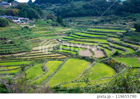 日本の岡山県久米郡美咲町の美しい大垪和西の棚田 日本の岡山県久米郡美咲町の美しい大垪和西の棚田 119655790