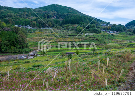 日本の岡山県久米郡美咲町の美しい大垪和西の棚田 日本の岡山県久米郡美咲町の美しい大垪和西の棚田 119655791