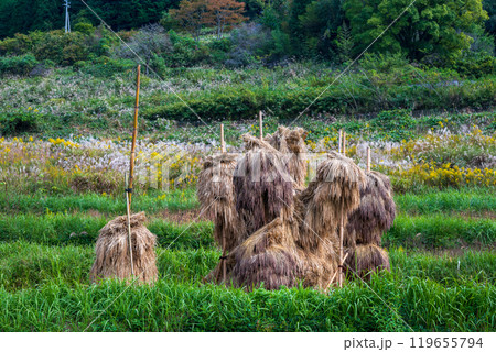 日本の岡山県久米郡美咲町の美しい大垪和西の棚田 119655794