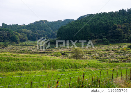 日本の岡山県久米郡美咲町の美しい大垪和西の棚田 日本の岡山県久米郡美咲町の美しい大垪和西の棚田 119655795