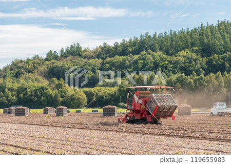 【富良野市　玉葱の収穫とトラクター】 119655983