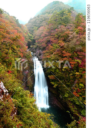 紅葉に流れ落ちる秋保の滝 紅葉に流れ落ちる秋保の滝 119656063