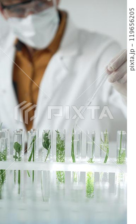 Man scientist wearing a lab coat, white protective gloves and face mask is dripping liquid into test tubes containing herbs for analysis in a laboratory, close up. Science and medicine concepts 119656205