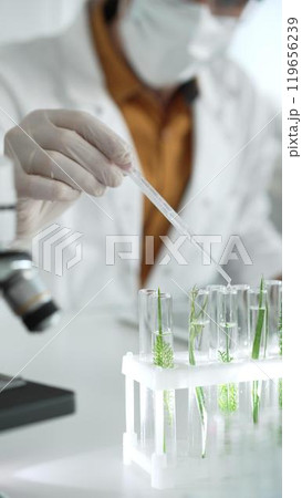 Man scientist wearing a lab coat, white protective gloves and face mask is dripping liquid into test tubes containing herbs for analysis in a laboratory, close up. Science and medicine Man scientist wearing a lab coat, white protective gloves and face mask is dripping liquid into test tubes containing herbs for analysis in a laboratory, close up. Science and medicine 119656239
