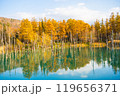 【北海道・美瑛】秋の白金青い池 119656371