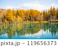 【北海道・美瑛】秋の白金青い池 119656373