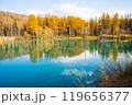 【北海道・美瑛】秋の白金青い池 119656377