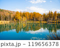 【北海道・美瑛】秋の白金青い池 119656378