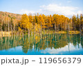 【北海道・美瑛】秋の白金青い池 119656379