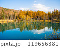 【北海道・美瑛】秋の白金青い池 119656381