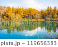 【北海道・美瑛】秋の白金青い池 119656383