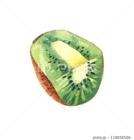 Kiwi hand painted in watercolor for designer packaging Kiwi hand painted in watercolor for designer packaging 119656506