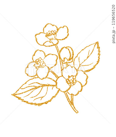 Hand painted gold tea set with herbs 119656520