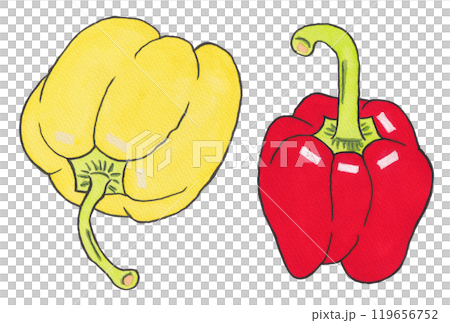 Hand-painted watercolor painting (e-tegami) "Red and yellow paprika" Hand-painted watercolor painting (e-tegami) "Red and yellow paprika" 119656752