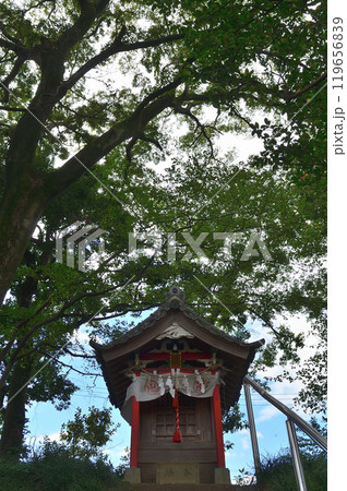 明和總鎮守　上州三嶋神社の仙元宮 119656839