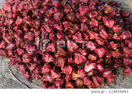 Water Chestnut Trapa natans fruit on shop Water Chestnut Trapa natans fruit on shop 119656861
