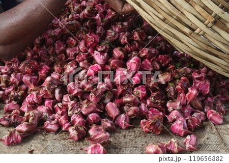 Water Chestnut Trapa natans fruit on shop Water Chestnut Trapa natans fruit on shop 119656882
