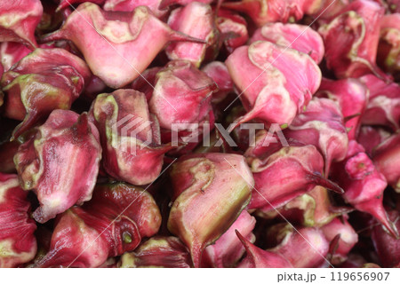 Water Chestnut Trapa natans fruit on shop Water Chestnut Trapa natans fruit on shop 119656907