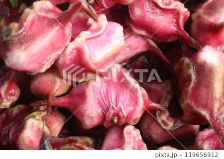 Water Chestnut Trapa natans fruit on shop Water Chestnut Trapa natans fruit on shop 119656912