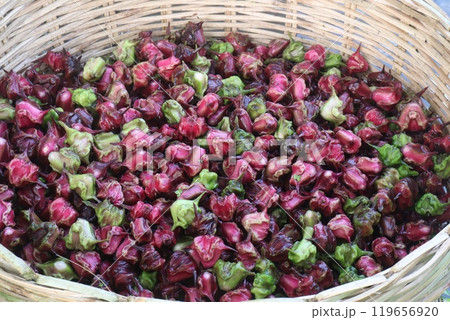 Water Chestnut Trapa natans fruit on shop Water Chestnut Trapa natans fruit on shop 119656920