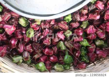 Water Chestnut Trapa natans fruit on shop Water Chestnut Trapa natans fruit on shop 119656924