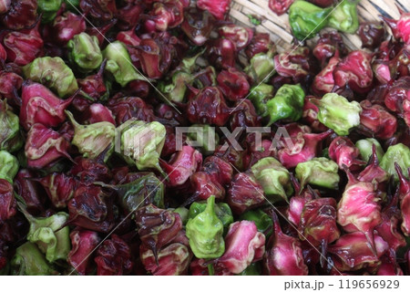 Water Chestnut Trapa natans fruit on shop Water Chestnut Trapa natans fruit on shop 119656929