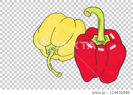 手描きの水彩画(絵手紙)「 赤色と黄色のパプリカ」重なり  はがきサイズ 119656996