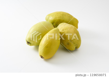 カリンの果実　イメージ 119658071