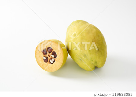 カリンの果実 イメージ カリンの果実 イメージ 119658083